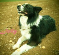 Neskutočné pokušenie :)